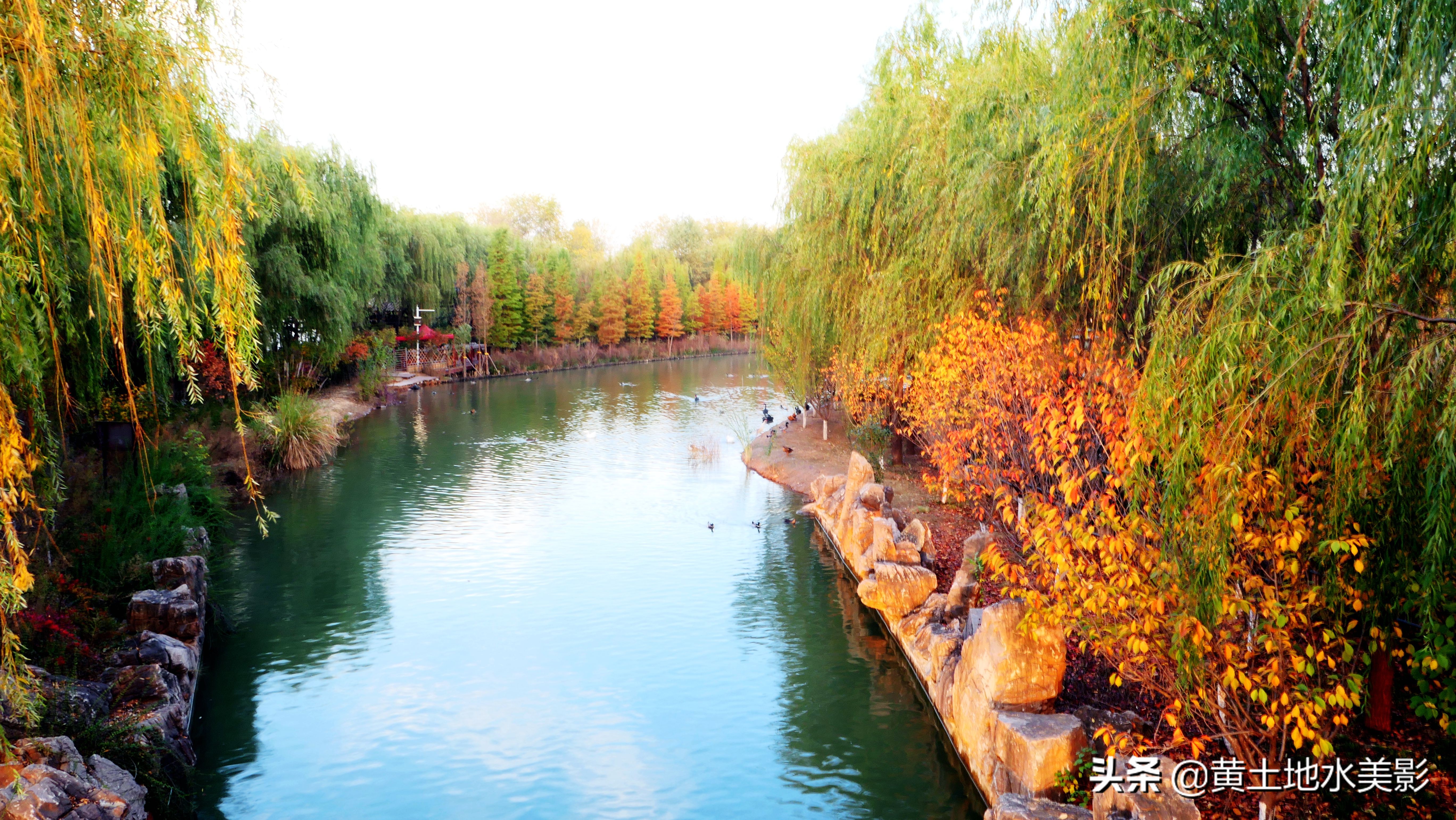 免费游玩东湖公园攻略,免费湿地公园游乐景点