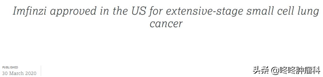 小细胞肺癌靶向治疗新突破,治疗小细胞肺癌最新突破新技术