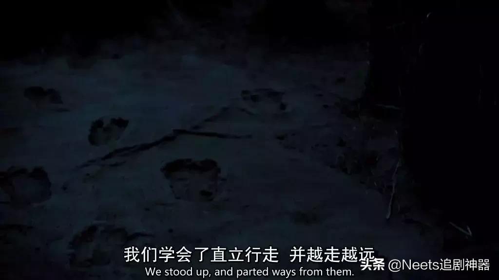 9.7分的史诗级巨制,9.6分这才是今年必看史诗大片