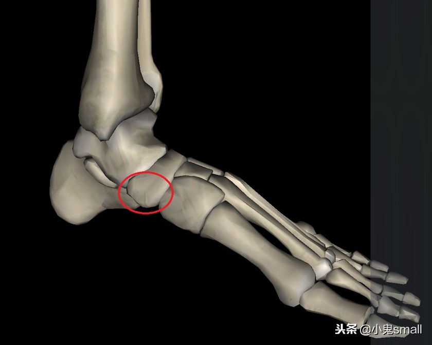篮球鞋欧文5实战推荐,篮球鞋测评kyrie5