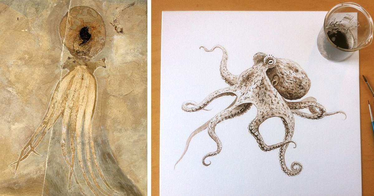 科学家发现章鱼高智商谜,八爪鱼真的是外星人吗