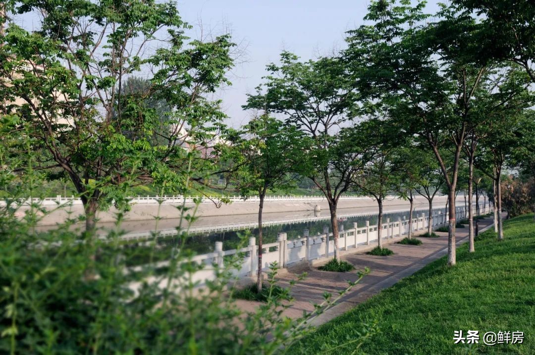 从上海到成都再到郑州，文化符号价值将被再次演绎