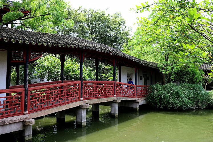 苏州最孤独的树夜景,苏州最孤独的树地址