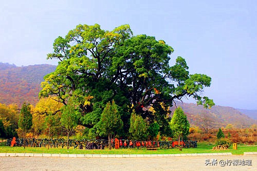 平凉市的旅游文化及民俗风情,甘肃被遗忘的地方