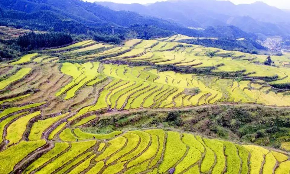 从1000米高处能看风景,从五百米高空看地面什么感觉