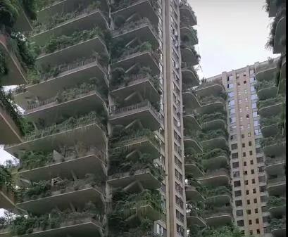 产品观察|*四代第**住宅:开发“垂直森林”,挑战设计极限