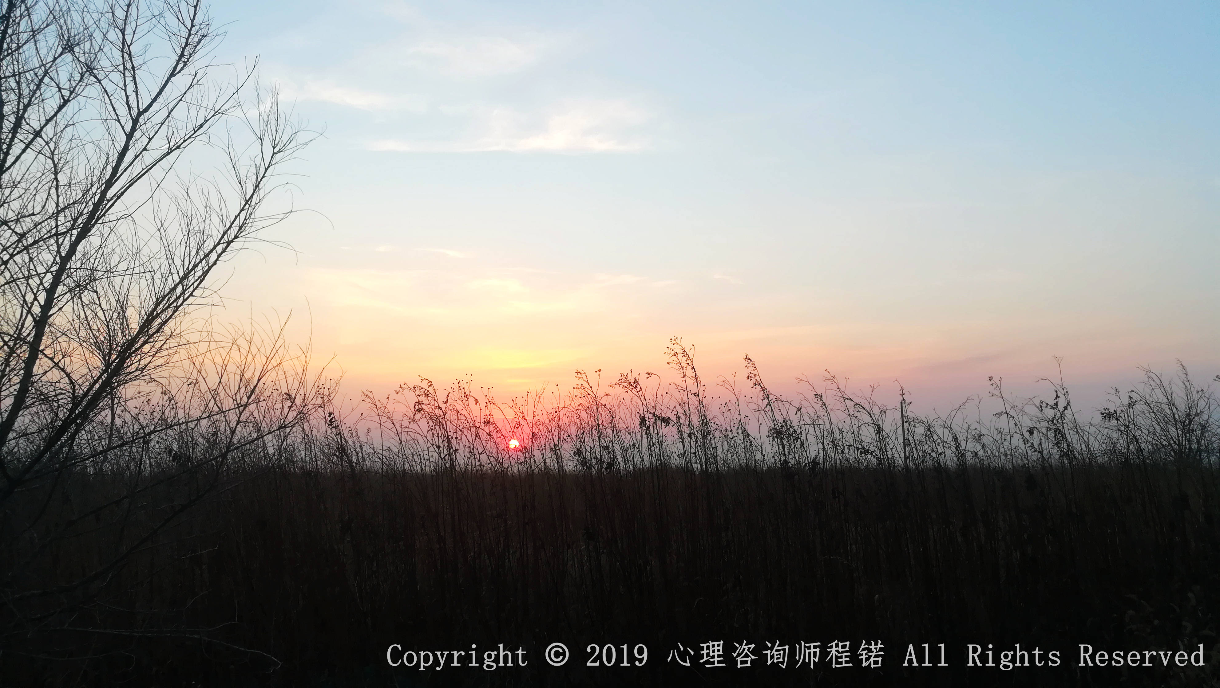 上海17岁男孩跳桥,上海17岁少年和母亲争执跳桥身亡