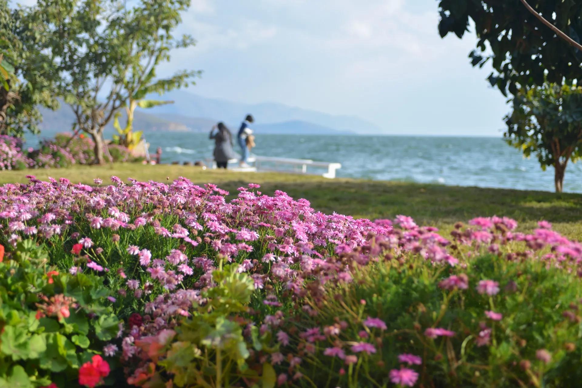 洱海环海西路详细路线图,洱海环海东路自驾游