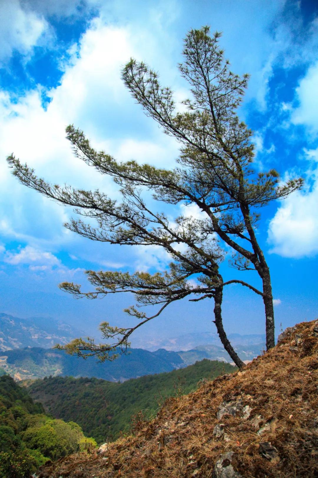 保山有魅力的地方,云南保山有多迷人