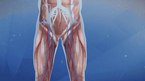 中国第一例人体冷冻术,中国第一个人体冷冻中心