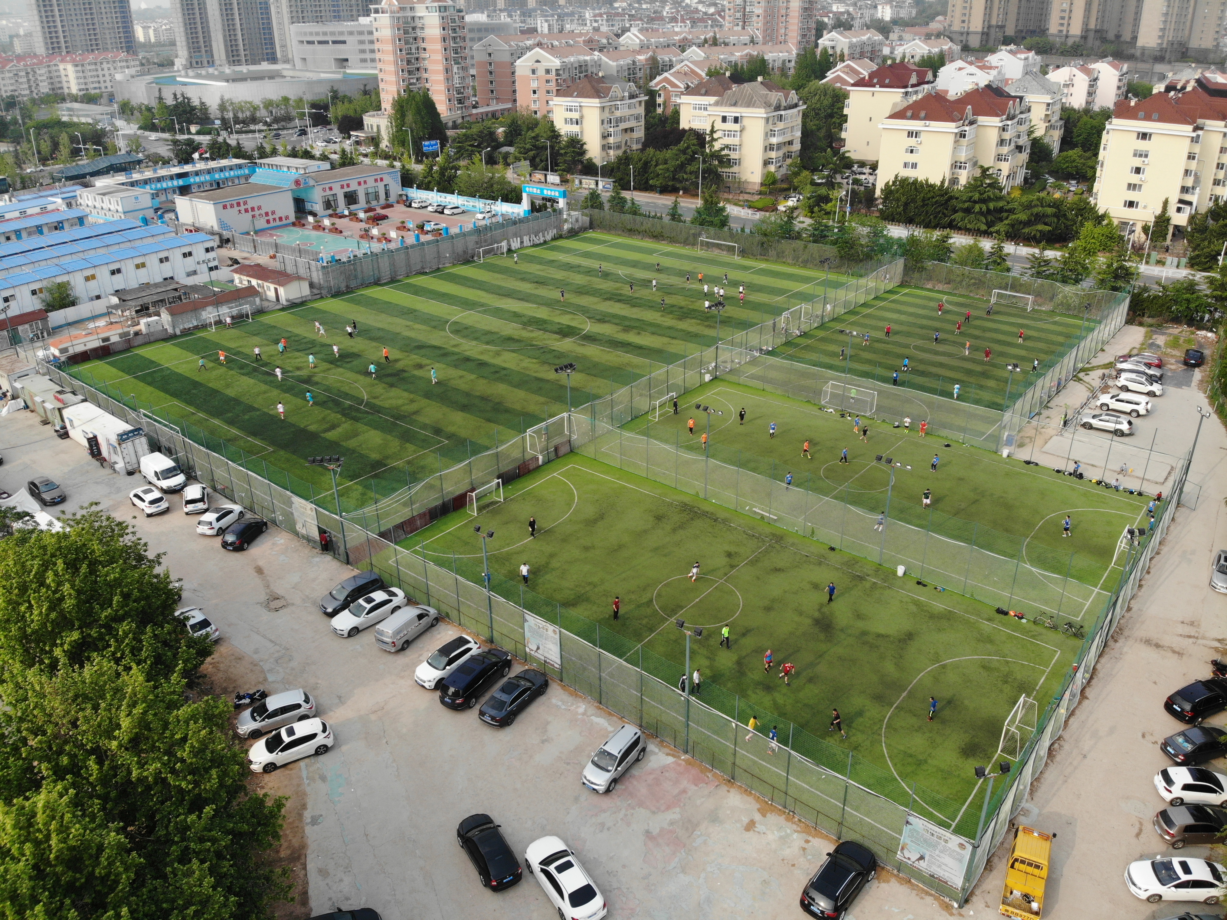 青岛红狮训练基地,青岛红狮青训