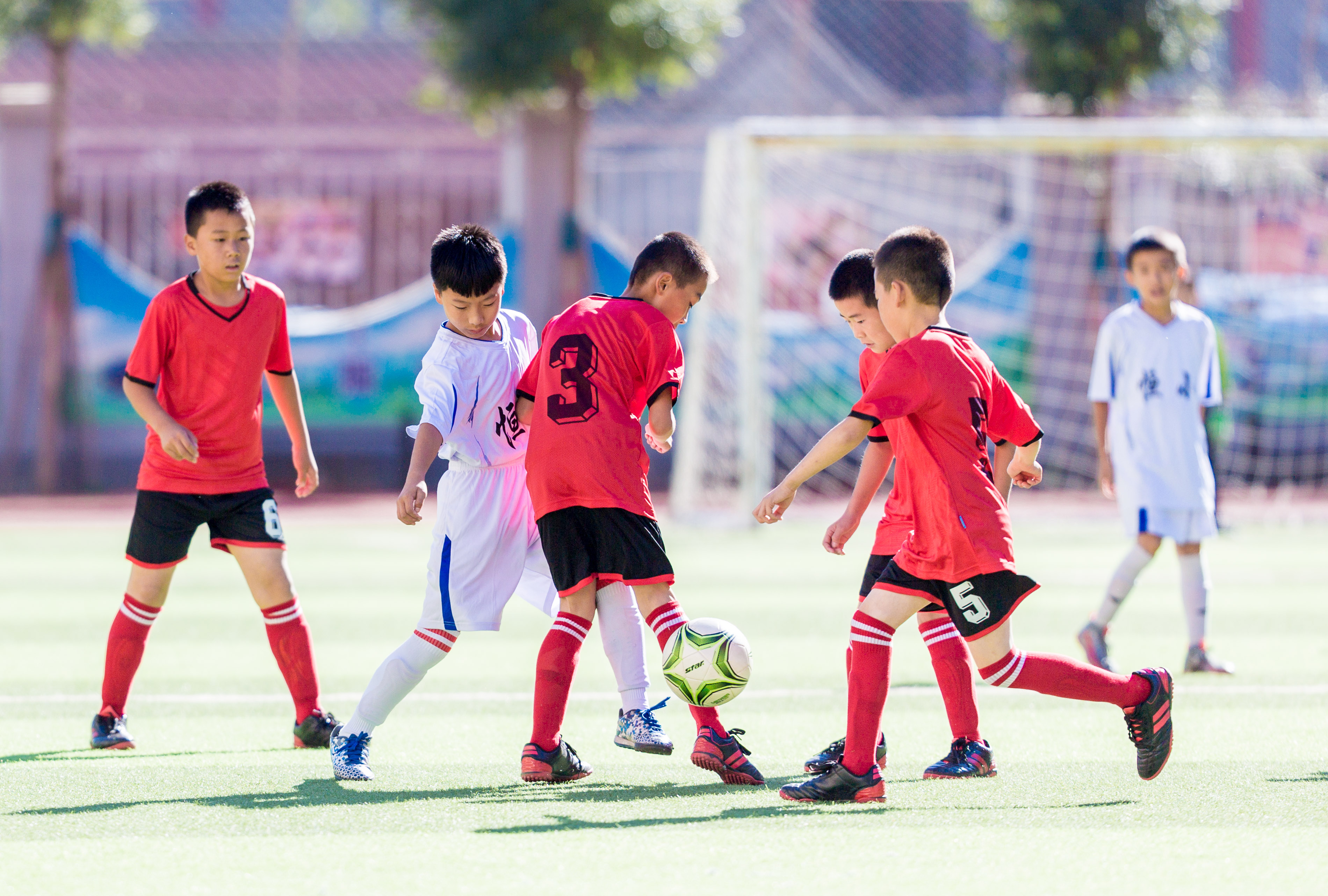呼和浩特新城区区长杯比赛小学组,呼和浩特市市长杯足球赛官网