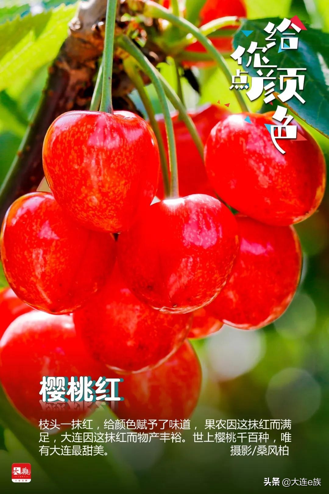 大连色卡,大连给貂皮改色