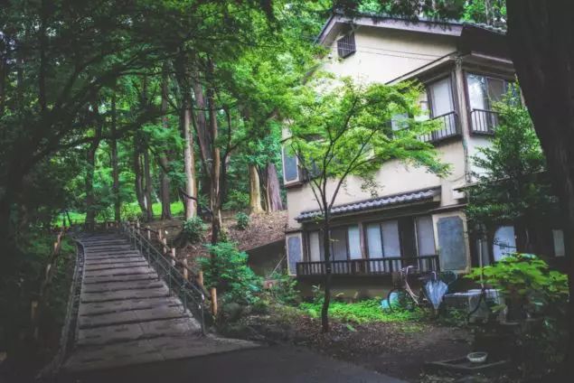 逛东京,去东京哪里旅游最适合居住