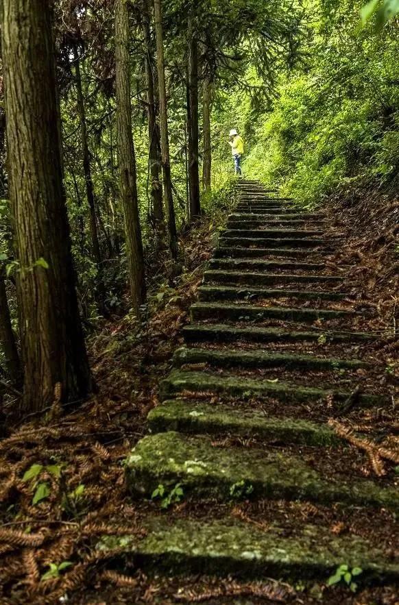 唐诗三百首其中最精妙的诗,唐诗三百首最经典长诗