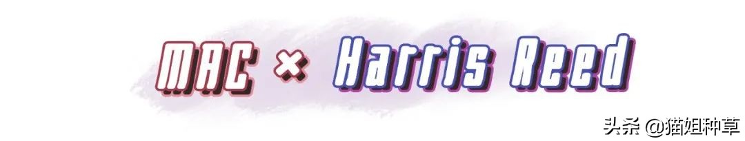 动森要出新作,动森会有新作么