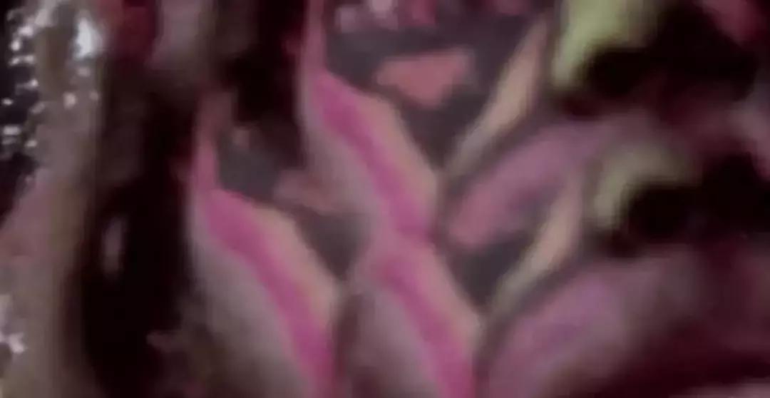 广西钦州毒案追踪,钦州毒品犯罪判刑案例