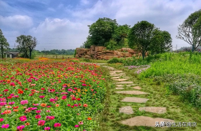 2019年南京美丽乡村游,南京周边美丽乡村游推荐