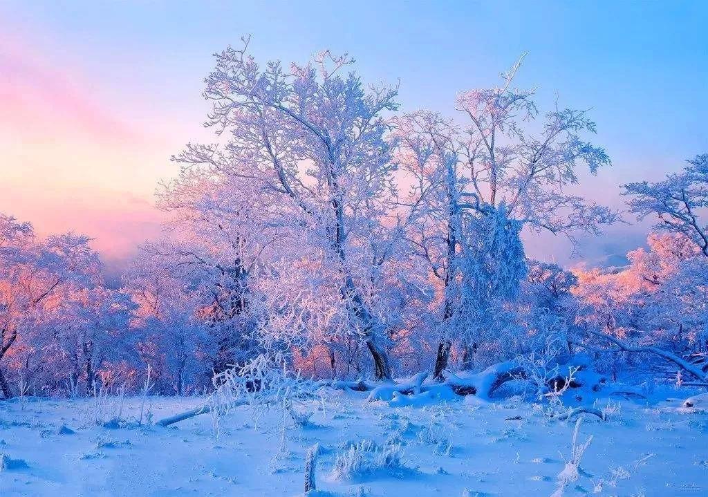 春节来一次冰雪之旅，“鼠”你最走运！