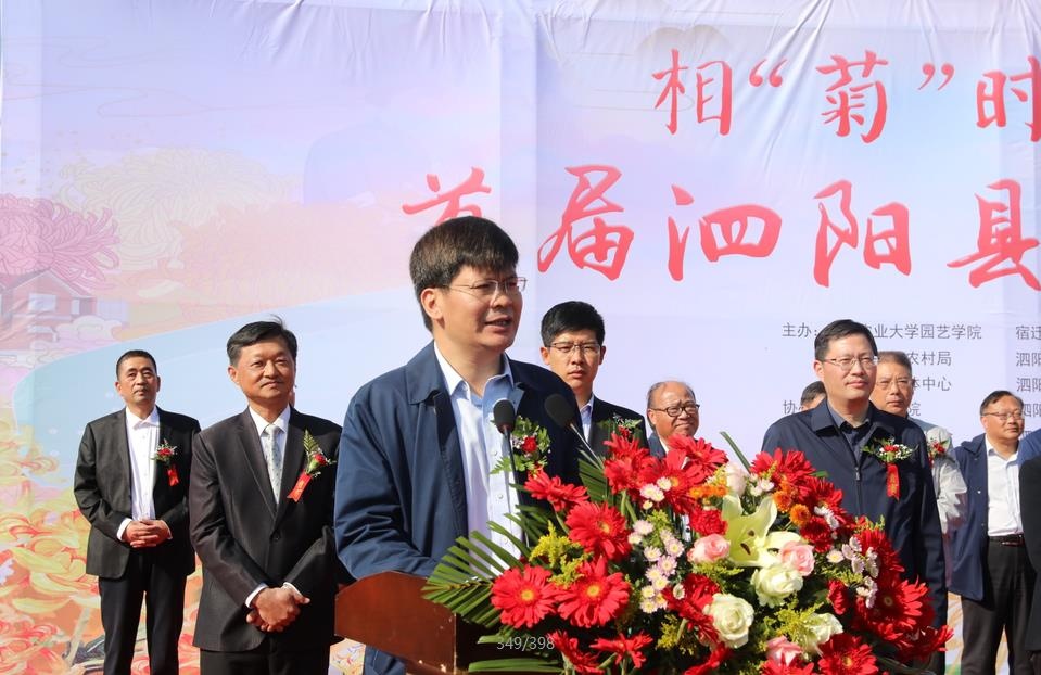 首届菊花节开幕,第三届泗阳菊花文化节