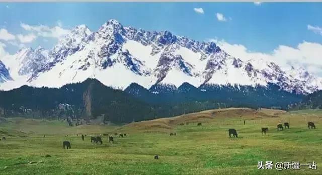 疆内哪里好玩风景好夏天,入疆必看景点大全