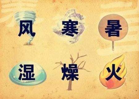 天天说“排毒”，你知道中医里排出邪气的11个通道吗？
