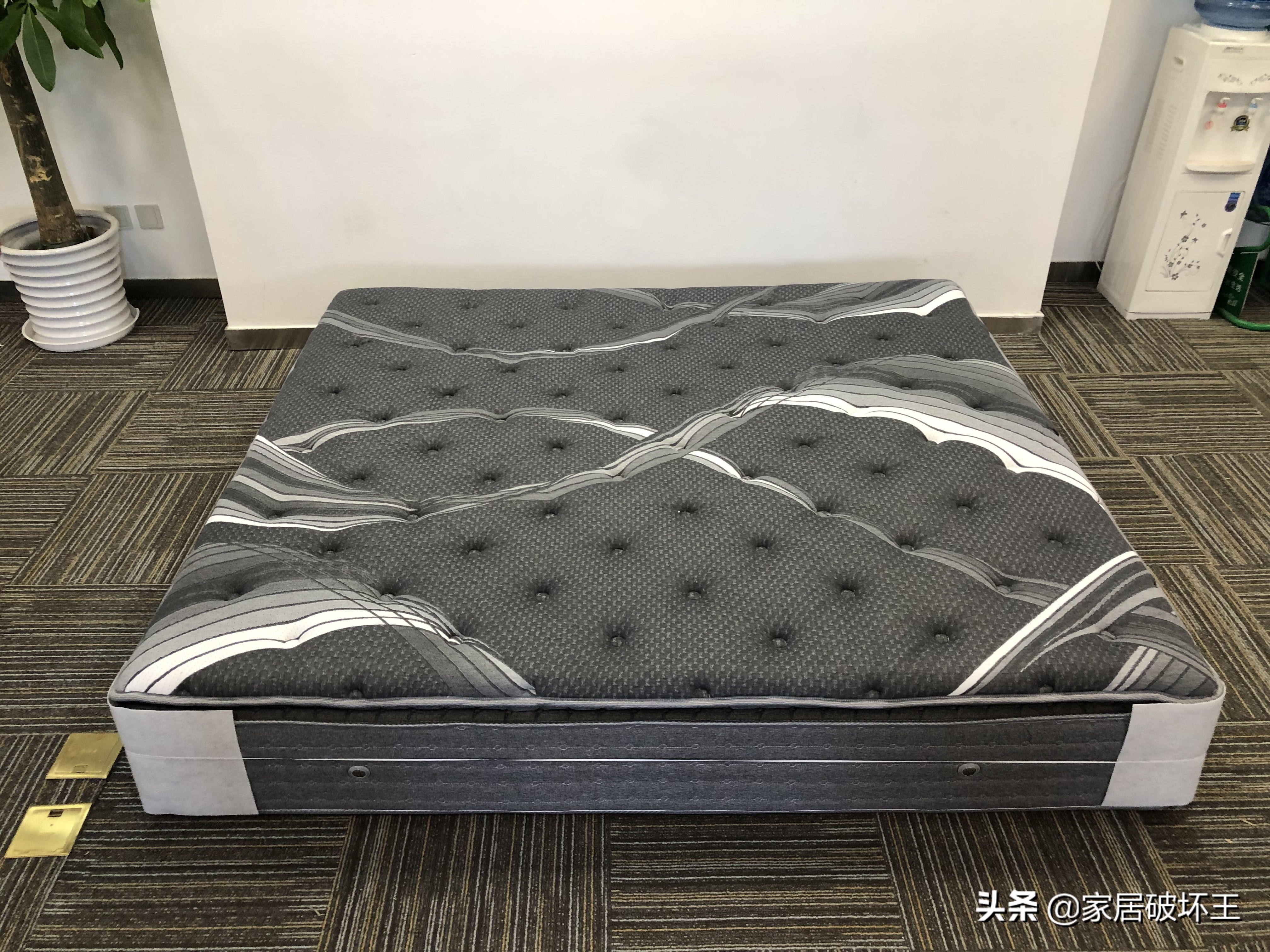 金可儿繁星c多少钱,金可儿繁星价格