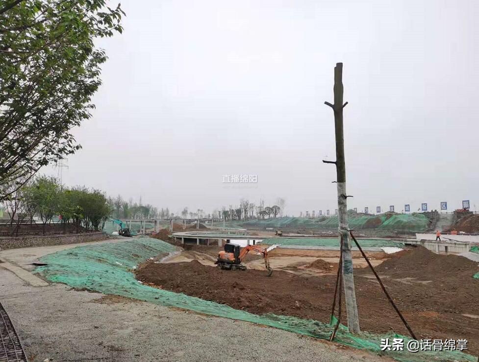 水上散步花中游玩~今年10月，安州生态绿廊示范区与你有约