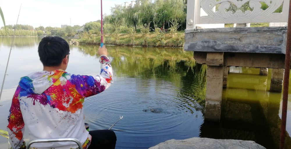 手竿钓鲢鳙钓浮怎么调漂详细过程,鲫鱼钓底还是钓浮怎么调漂