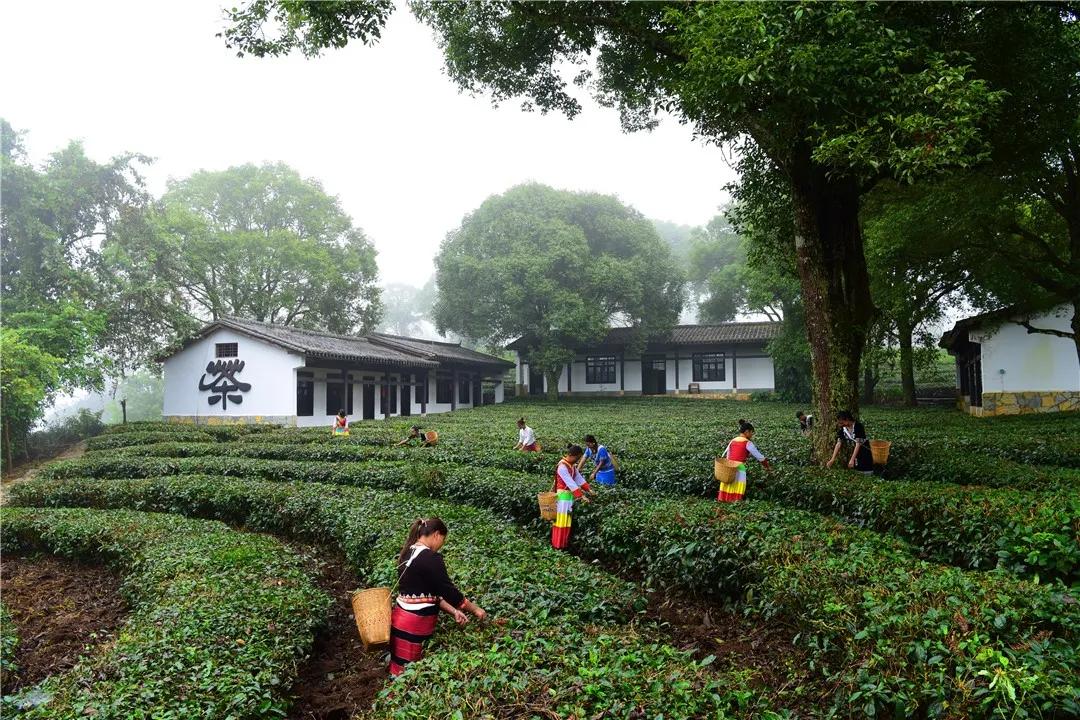 来看看那些云南元素满满的影视剧,这些让人难以忘怀的镜头