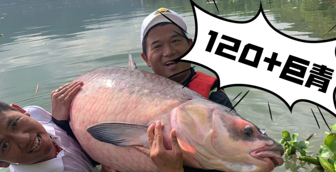 老男子钓鱼抖音,在抖音上钓鱼的男人