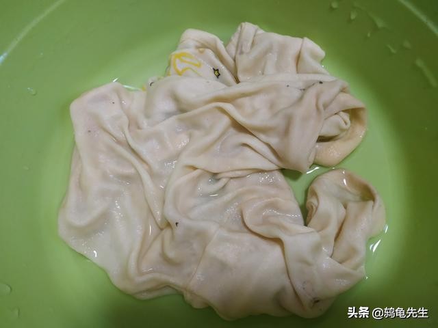 乌龟冬眠过冬小技巧图片,乌龟泥土冬眠法详细介绍