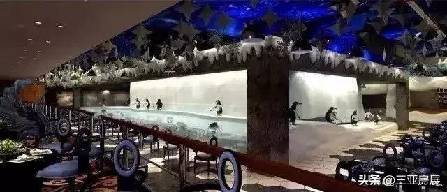 海南三亚巨变,三亚出现百年奇观