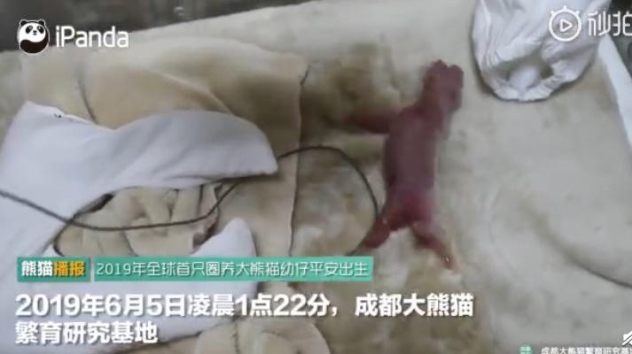 “霸道”女副行长：逼出轨丈夫砍手指，把下属当佣人驱使