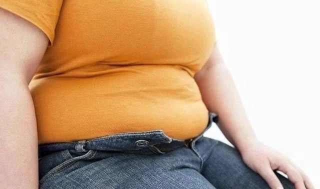 肚子上的赘肉难减,肚子上的赘肉怎么减都减不下去