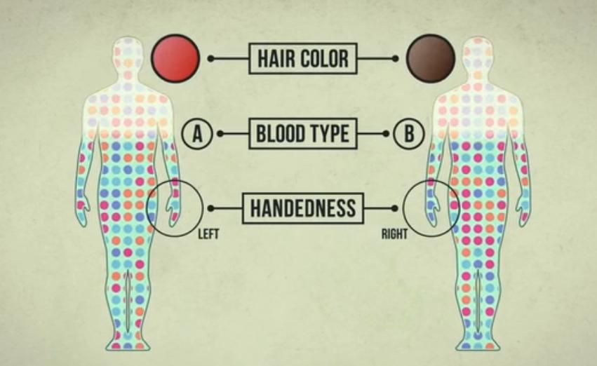 医史今日丨基因测序：人类有史以来最伟大的一项工程