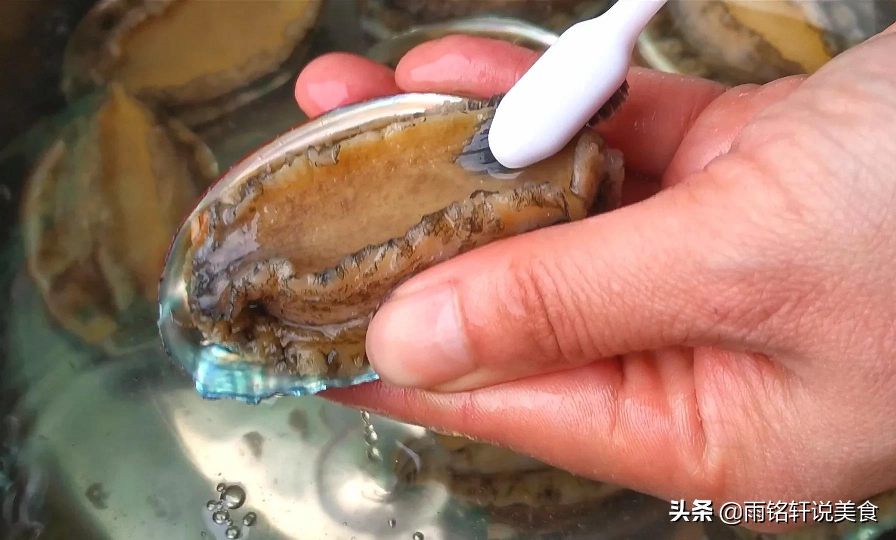 鲍鱼怎么做最好吃做法视频,鲍鱼怎么做简单好吃蒜蓉味