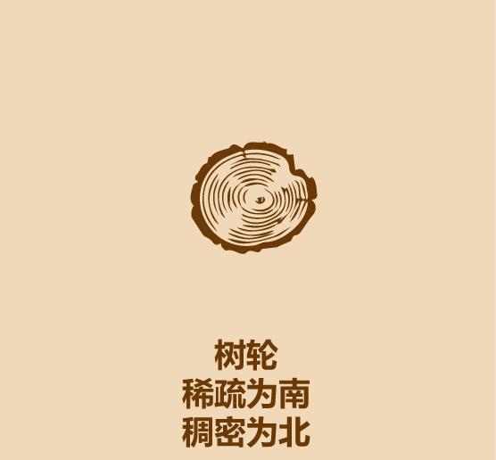 户外探险怎么看方向,野外冒险知识指南