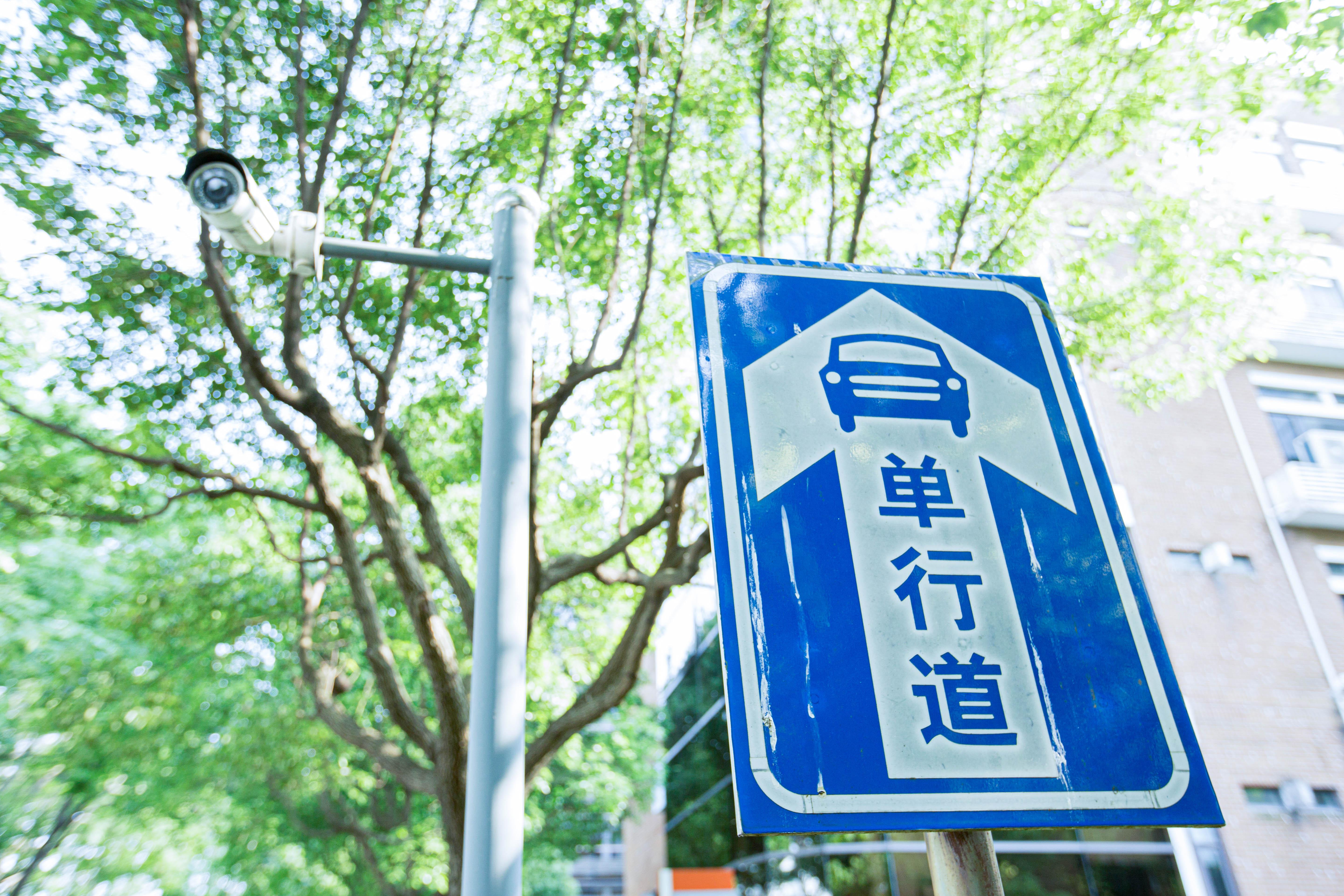 浦软色彩｜园区里的“科技蓝”