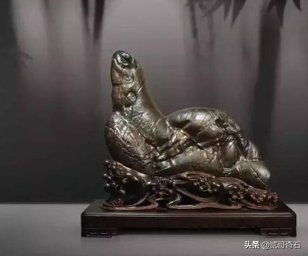 你玩石头快乐吗,你玩石头真的快乐吗