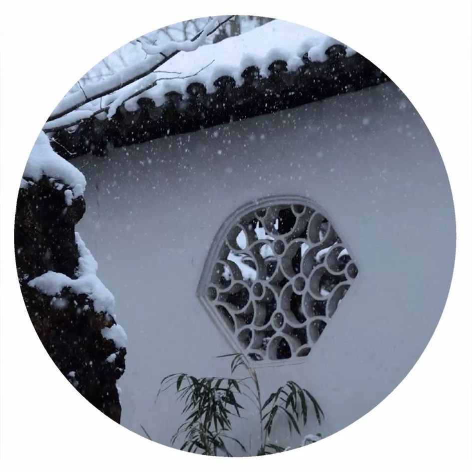 初冬的苏州古城,深秋苏州古城景色