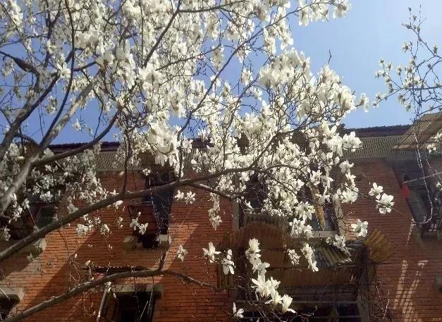 安徽合肥大学二本院校,安徽二本高校