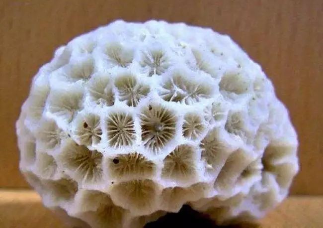 对身体有益的宝石排行,哪种宝石不吸收人体精华却能养人