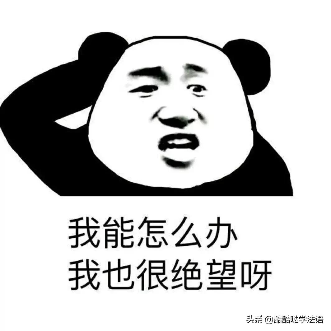 法语零基础入门学习自学法语,法语初学者法语字母发音学习