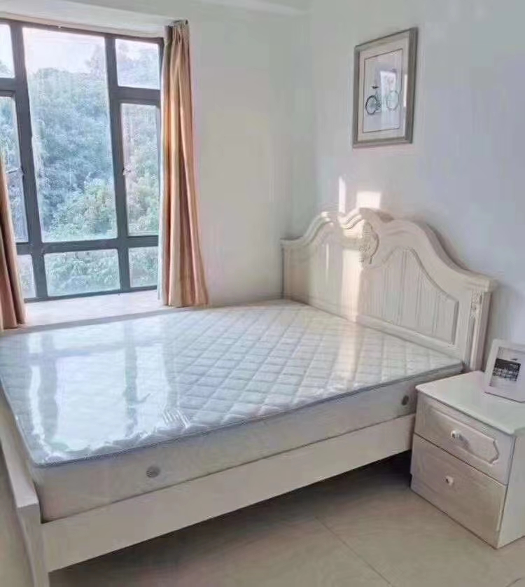 预言2025深圳南山西丽房价,南山西丽目前房价