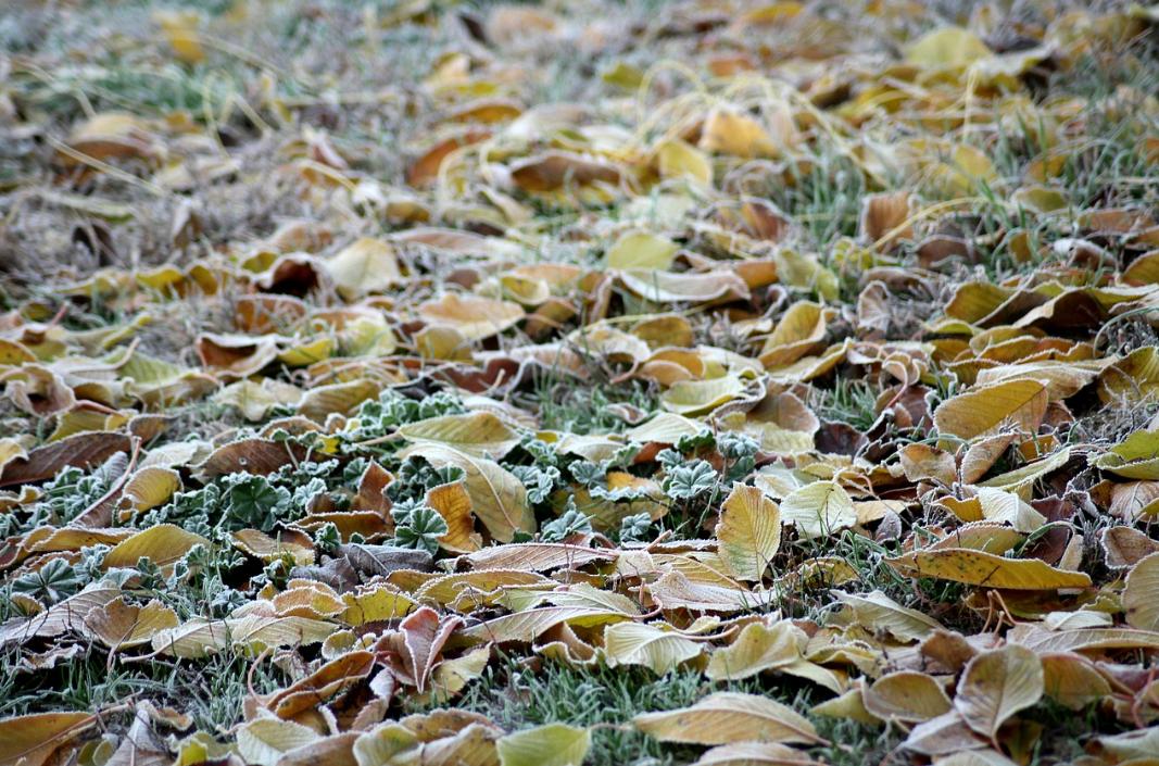 自然之美楷书,自然之美野性之美