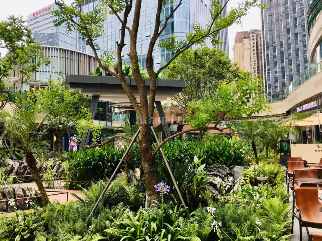 重庆5大核心商圈,暴走山城重庆