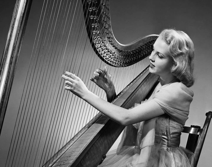 十大最容易上手乐器,最有气质的十大乐器