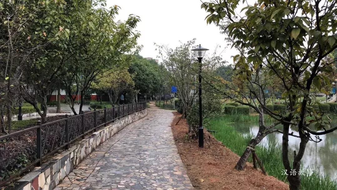 父亲是一个谜（中英对照）