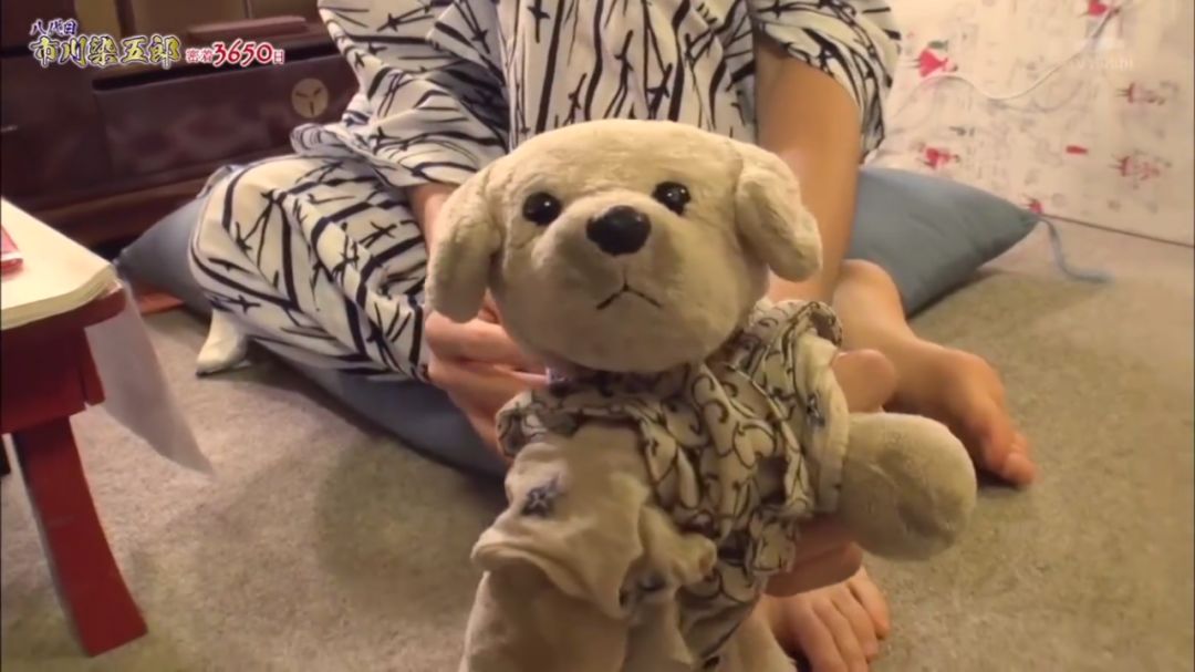 从软萌正太到美艳艺伎,日本天后松隆子的亲侄子收获无数姐姐粉!